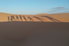 OMBRES. WAHIBA SAND.OMAN 