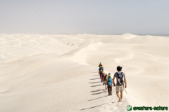 RANDO SUGAR DUNES OMAN