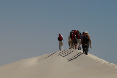SUGAR DUNES.RANDO. OMAN. 