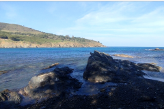 FEAT.ACC_COLLIOURESE