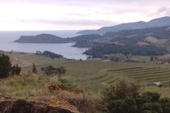 IMG_20260228_084644-scaled