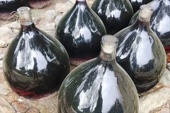 IMG_20260228_103227-scaled