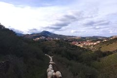 IMG_20260228_155037-scaled