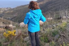 IMG_20260228_170510-scaled