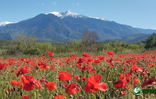 NEWS AVENTURE NATURE :